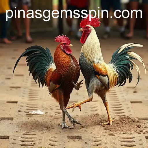 Exploring the Culture of Cockfighting and Its Intricacies